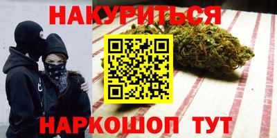 индика Краснознаменск