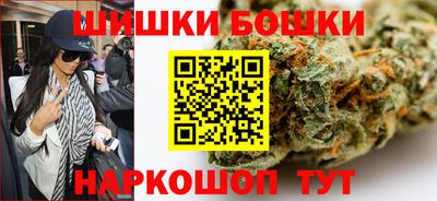 индика Краснознаменск